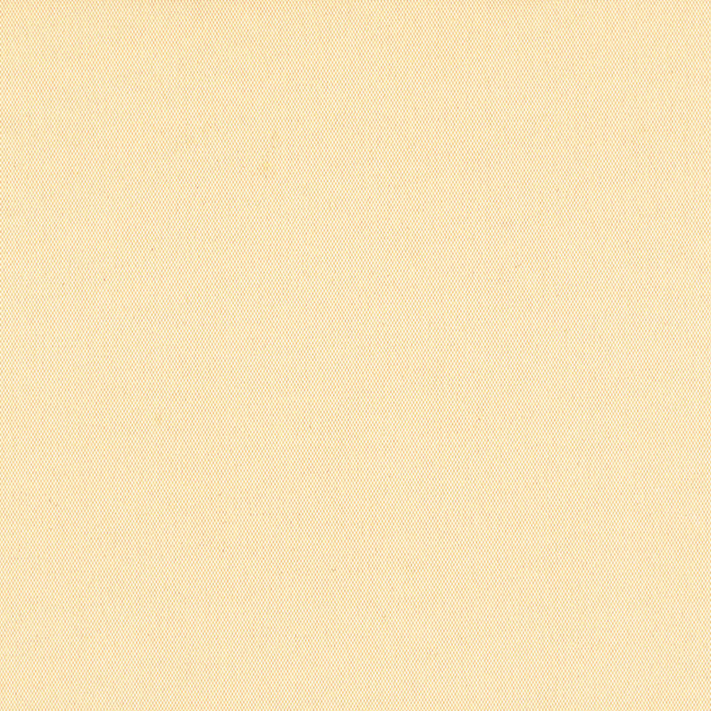 CARNIVAL BLACKOUT 89