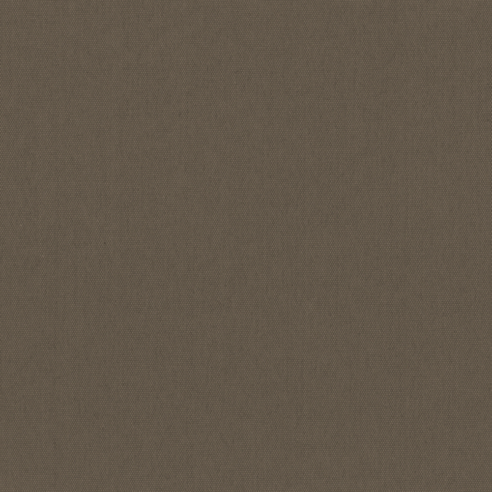 CARNIVAL BLACKOUT 2050