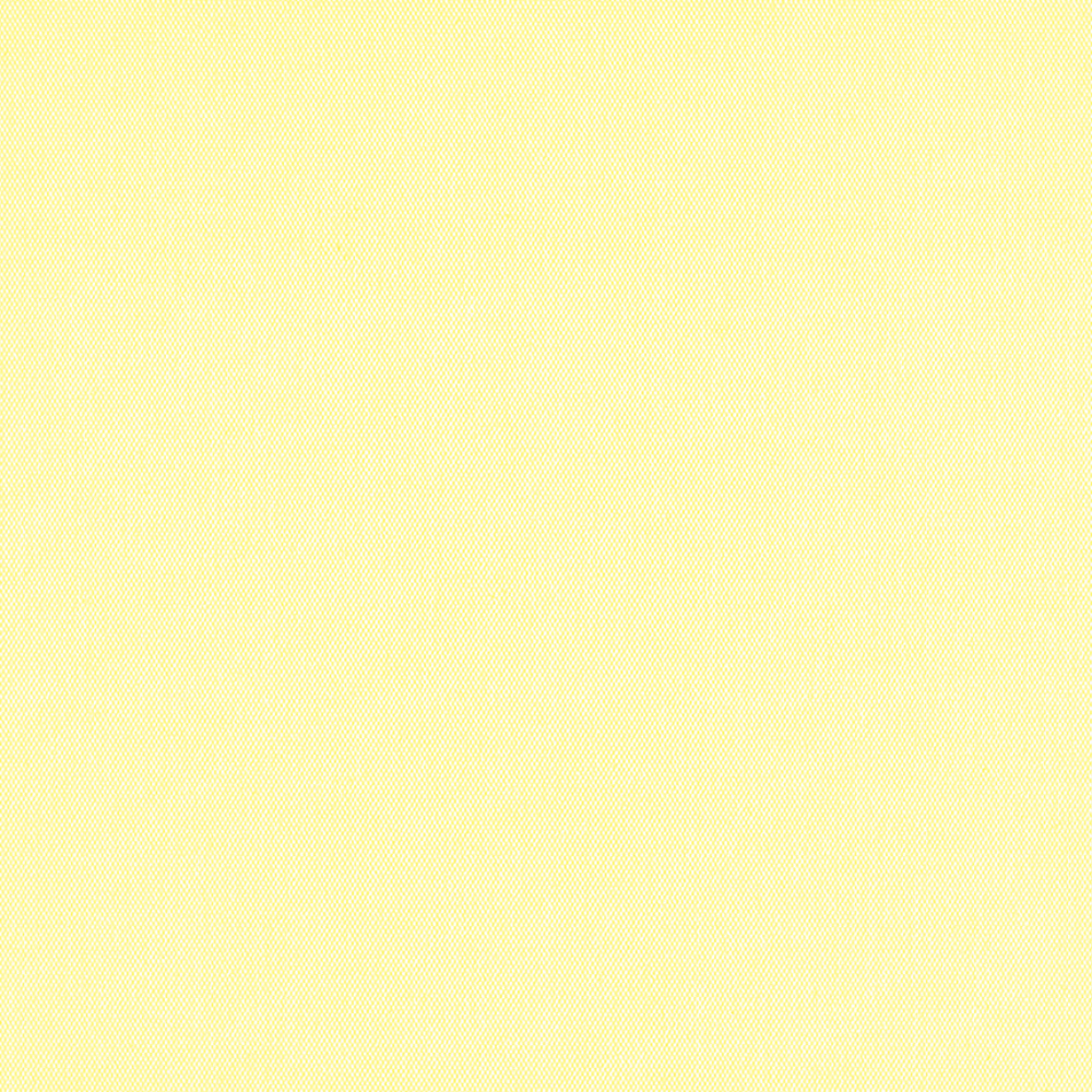 CARNIVAL BLACKOUT 3000