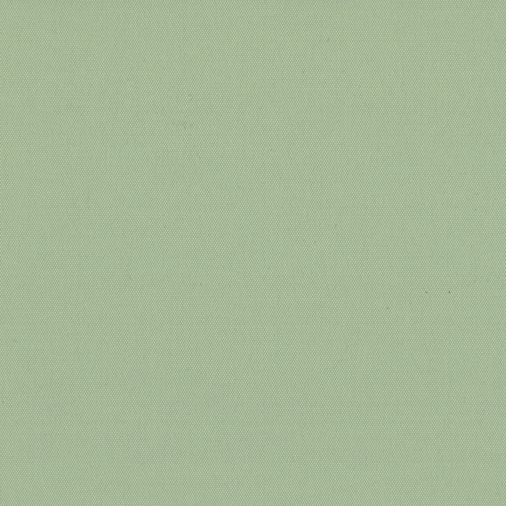 CARNIVAL BLACKOUT 2500