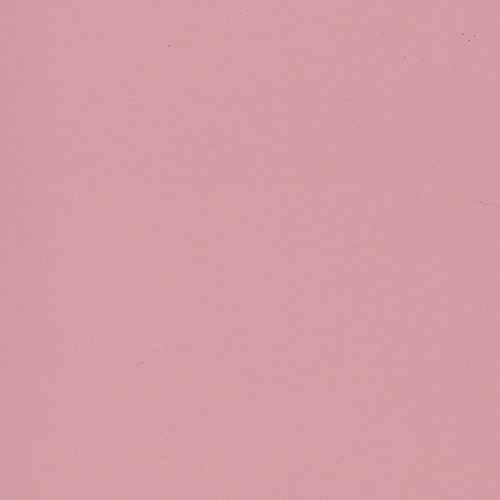 CARNIVAL BLACKOUT 2500