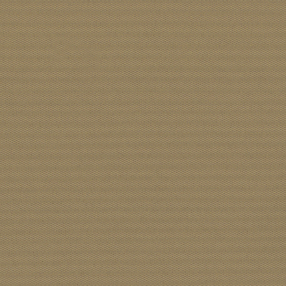 CARNIVAL BLACKOUT 89