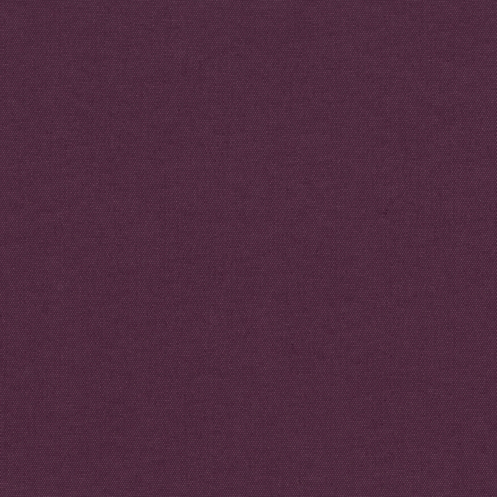 CARNIVAL BLACKOUT 2050