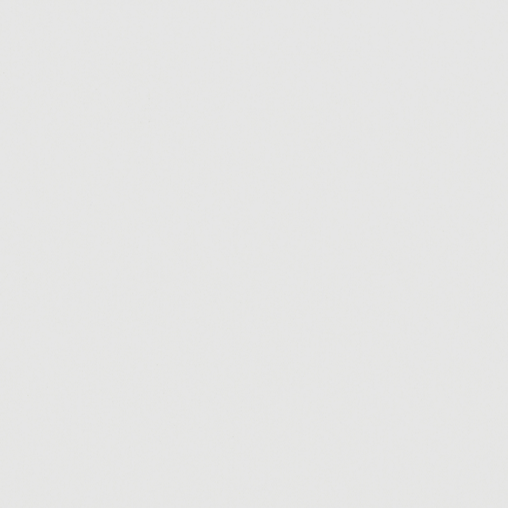 CARNIVAL BLACKOUT 2500