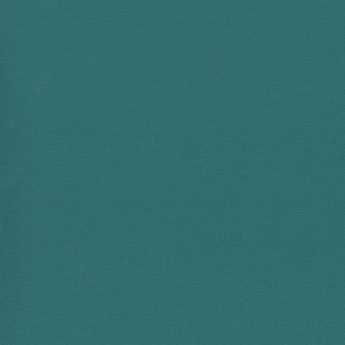 CARNIVAL BLACKOUT 89