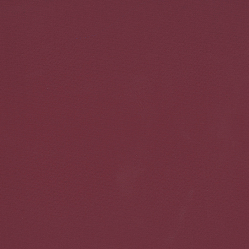 CARNIVAL BLACKOUT 2050