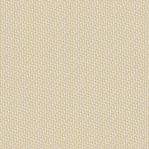 PERSPECTIVE WHITE BACK 3 - 127