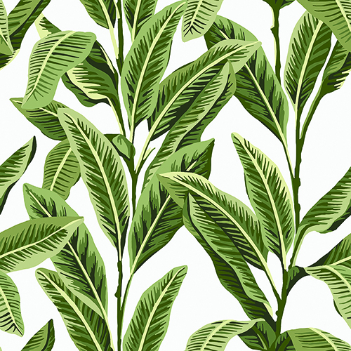 TROPICAL PALM BLACKOUT